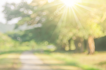 Blur nature green park with bokeh sun light abstract background. Copy space of travel nature adventure and environment ecology concept. Vintage tone filter effect color style.の写真素材
