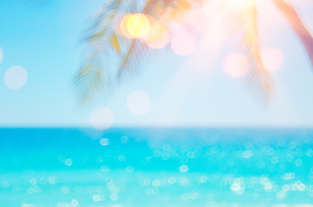 Blur beautiful nature green palm leaf on tropical beach with bokeh sun light wave abstract...