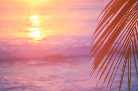 Blur beautiful nature green palm leaf on tropical sunset beach with bokeh light wave abstract background. Copy space of summer vacation and business travel concept. Vintage tone filter color style.の写真素材