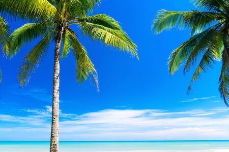 Summer vacation and holiday travel concept. Copy space of tropical beach with palm tree on blue sky and white clouds abstract background. Vintage tone filter effect color style.の写真素材