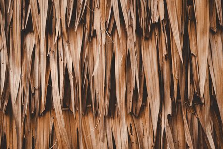 Nature dry palm leaf wall abstract texture background.の写真素材