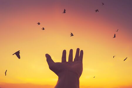 Man raise open hand up on sunset sky with birds fly abstract background. Copy space of freedom travel adventure and business victory concept. Vintage tone filter effect color style.の写真素材