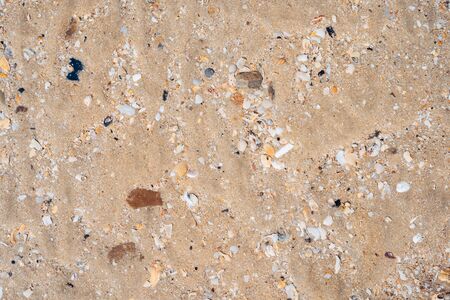 Copy space of sand beach and seashell texture abstract background. Summer vacation and travel...