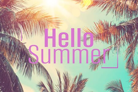 Hello summer words on tropical palm tree background. Summer vacation and travel holiday concept. Vintage tone filter effect color style.の写真素材