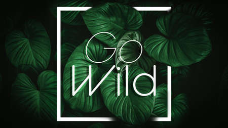 Hello summer words on blur tropical beach with bokeh sunlight wave abstract background. Summer vacation and travel holiday concept. Vintage tone filter effect color style.の写真素材