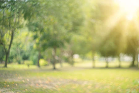 Blur nature green park with bokeh sun light abstract background. Copy space of travel nature adventure and environment ecology concept. Vintage tone filter effect color style.の写真素材