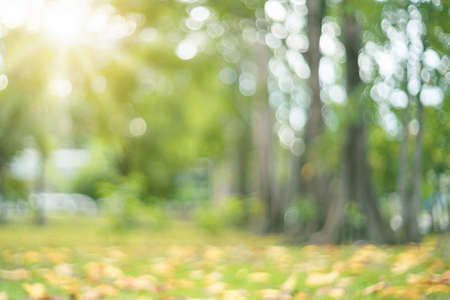 Blur nature green park with bokeh sun light abstract background. Copy space of travel nature adventure and environment ecology concept. Vintage tone filter effect color style.の写真素材