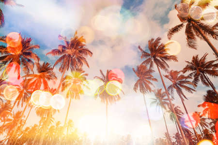 Copy space of silhouette tropical palm tree on sunset sky with bokeh light leak abstract background....