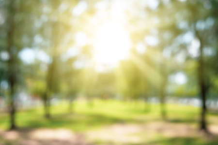 Blur nature green park with bokeh sun light abstract background. Copy space of travel nature adventure and environment ecology concept. Vintage tone filter effect color style.の写真素材