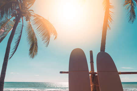 Surfboard and palm tree on sunset sky abstract background. Summer vacation and sport extreme concept. Vintage tone filter color style.の写真素材