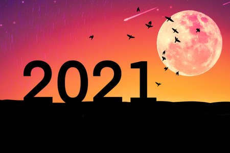 2021 new year concept with birds flying and full moon on sunset sky background.