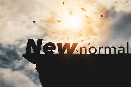 New normal words with birds flying on sunset sky background at top of mountain.