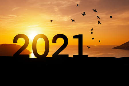 2021 new year concept with birds flying on sunset sky background at tropical beach.