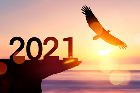 2021 new year concept with eagle bird flying on sunset sky background at top of mountain.