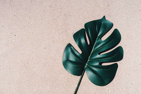 Tropical green leaf on sand beach texture abstract background. Copy space for design product...