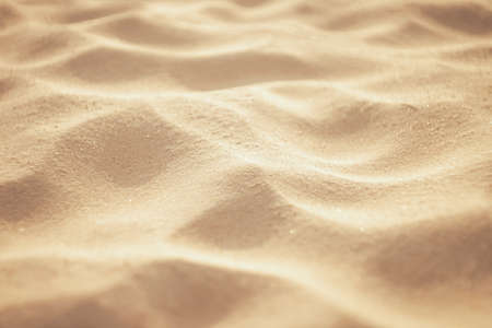 Copy space of sand beach and seashell texture abstract background. Summer vacation and travel relaxation concept. Vintage tone filter effect color style.の写真素材