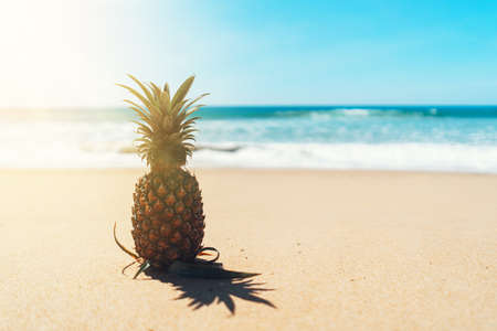 Pineapple on tropical beach background. Summer vacation and healthy food concept. Vintage tone filter effect color style.の写真素材