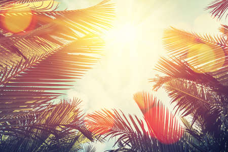 Tropical palm tree with sun light on sunset sky and cloud with colorful bokeh abstract background. Summer vacation and nature travel adventure concept. Vintage tone filter effect color style.の写真素材