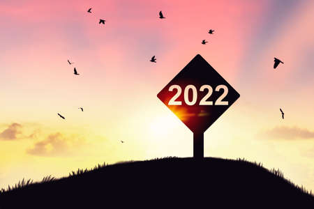 2022 sign at top of grass mountain with birds flying on sunset sky abstract background. Happy new...