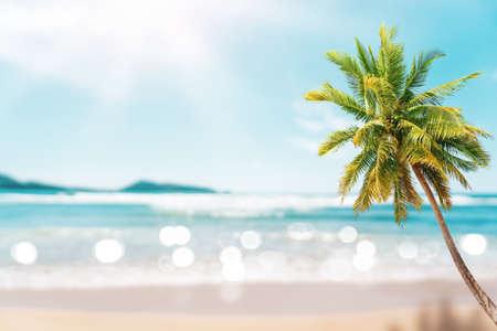 Blur beautiful nature green palm leaf on tropical beach with bokeh sun light wave abstract background. Copy space of summer vacation and business travel concept. Vintage tone filter effect color styleの写真素材