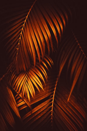 Golden palm leaf pattern texture abstract background. Copy space for graphic design tropical summer concept. Vintage tone filter effect color style.の写真素材