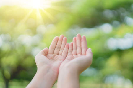 Woman open hand up to sunset sky and green blur leaf bokeh sun light abstract background. Vintage tone filter effect color style.の写真素材