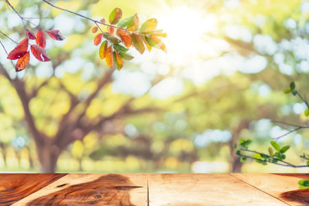 Blur park and green nature bokeh leaf  with sun light on copy space empty old wood table abstract background. Product presentation in fresh nature. Ecology environment and nature concept.の写真素材