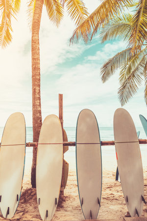 Surfboard and palm tree with blue sky on beach background. Travel adventure sport and summer vacation concept. Vintage tone filter effect color style.の写真素材
