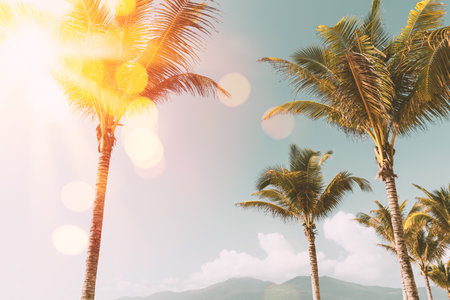 Tropical palm tree with sun light on sunset sky and cloud abstract background. Summer vacation and nature travel adventure concept. Vintage tone filter effect color style.の写真素材
