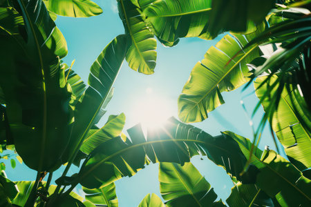 Tropical nature background. Summer and environment concept. Generative ai.の素材