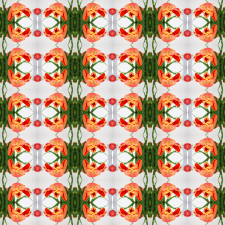 Seamless texture of tulips. For eg fabric, wallpaper, wall decorations.の写真素材