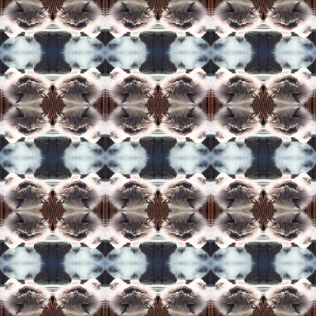 Seamless texture of a ragdoll. For eg fabric, wallpaper, wall decorations.の写真素材