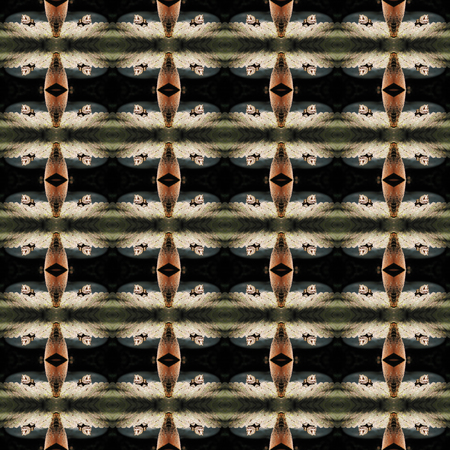 Seamless texture of a frog. For eg fabric, wallpaper, wall decorations.の写真素材