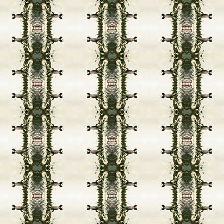 Seamless texture of a moorhen. For eg fabric, wallpaper, wall decorations.の写真素材