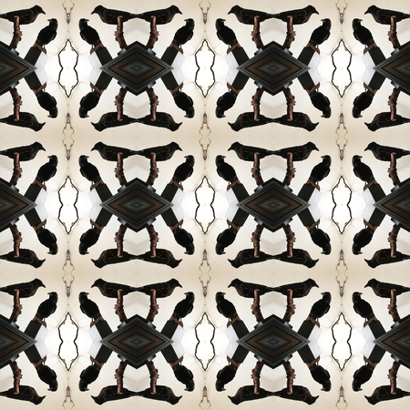 Seamless texture of two ravens. For eg fabric, wallpaper, wall decorations.の写真素材