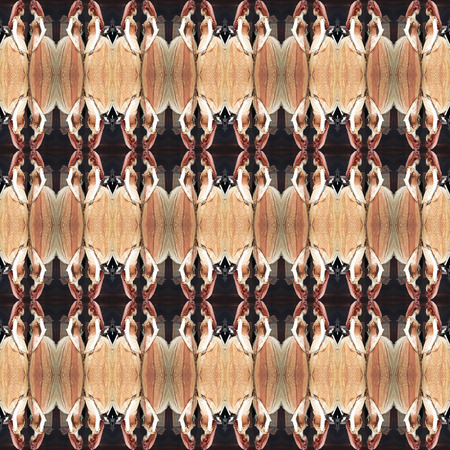 Seamless art pattern. For eg fabric, wallpaper, wall decorations.の写真素材