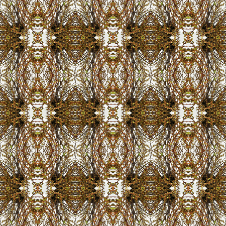 Seamless pattern of branches. For eg fabric, wallpaper, wall decorations.の写真素材