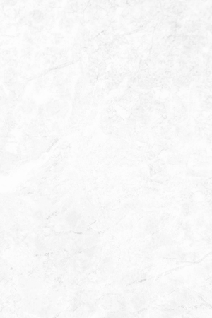 White marble texture with natural pattern for background or design art work or cover book or brochure, poster, wallpaper background and realistic business.の写真素材