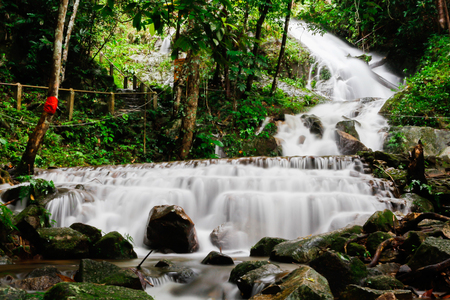 Forest stream waterfall mountain landscapeの写真素材