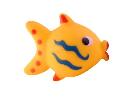 Yellow fish, isolated on backgroundの写真素材