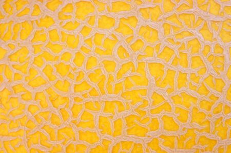 Texture of galiamelon peel (Cucumis melo var. reticulatus)の写真素材