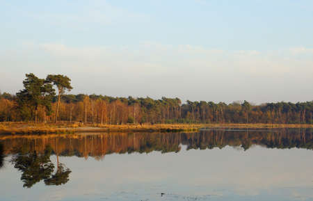 Dutch autumn forest reflecting in a small swampの写真素材