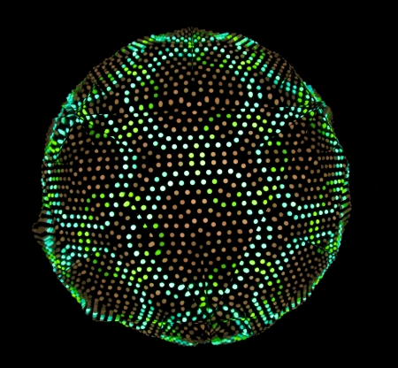 EINDHOVEN/NETHERLANDS - 14 NOVEMBER-2012: Caleidoscope during lightshow Glowのeditorial素材