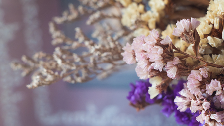 Dry flowers in bouquetsの写真素材