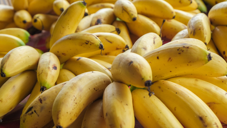 Bananas pile for saleの写真素材