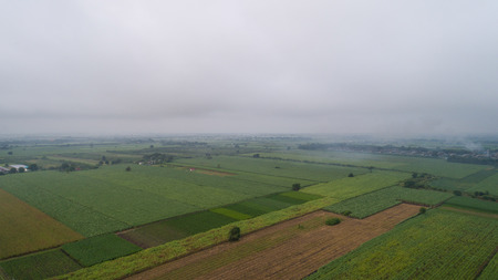 Aerial Photo Green Field In the morning mistの写真素材