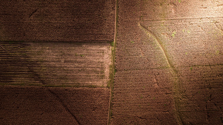 Aerial photography Pattern on the Earth Field Corn Farm Abstract Harvest Seasonの写真素材