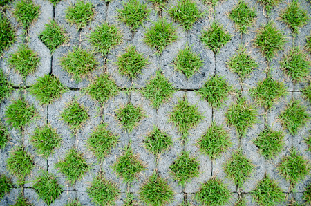 Top view Walkway cement, grass pattern For Homeの写真素材