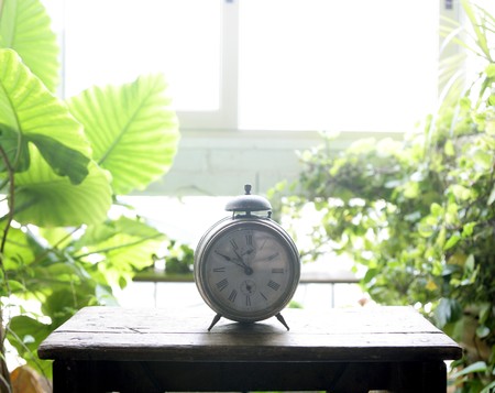Old alarm bell clock at the window backlit in a house room with plants
