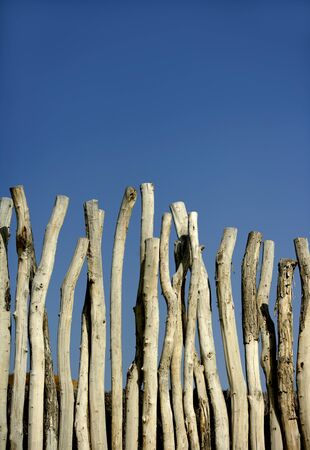 Wooden wall made of natural round striped wood trunks, blue summer skyの写真素材